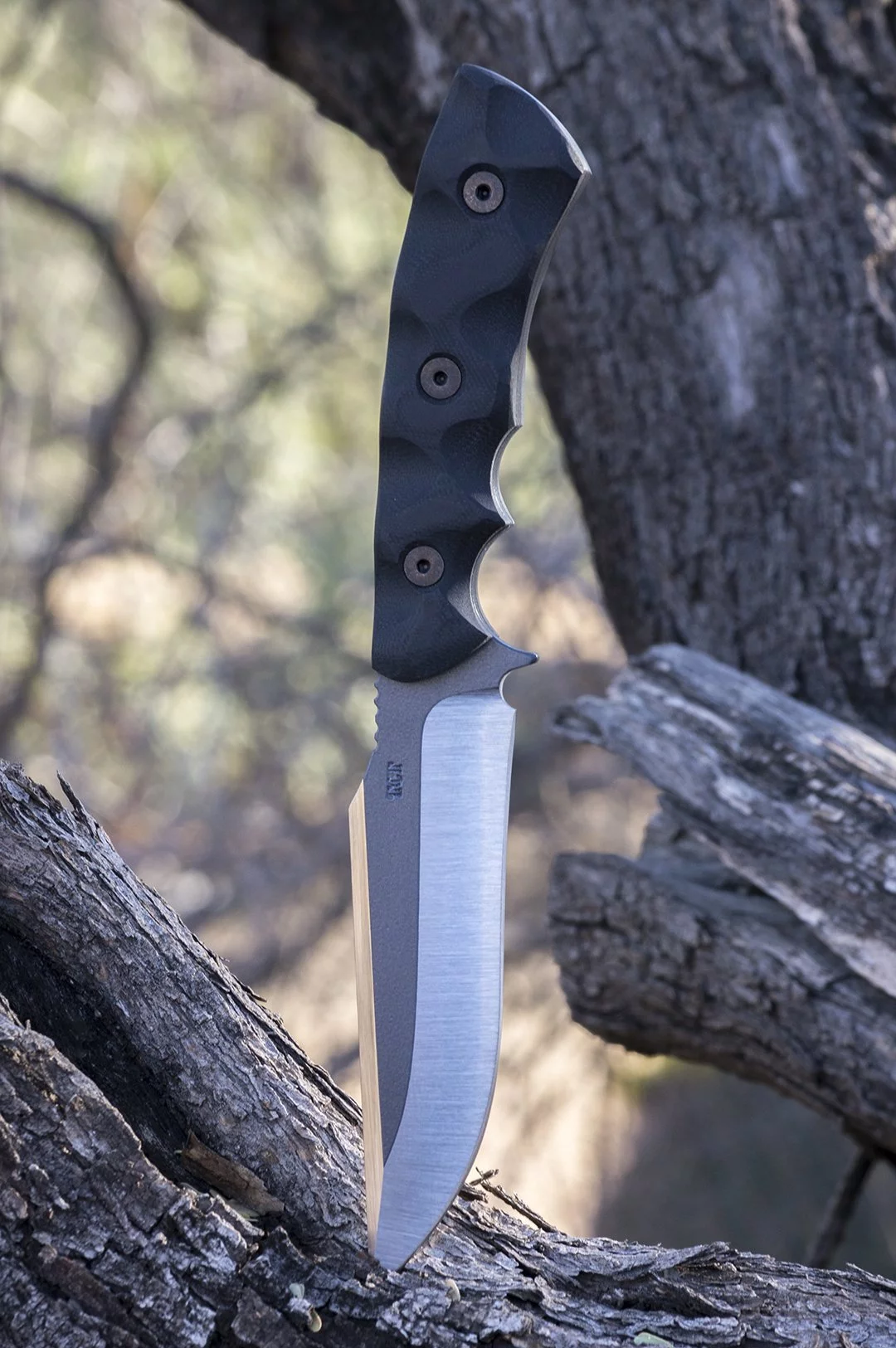 TCT Lite Fighter Review
